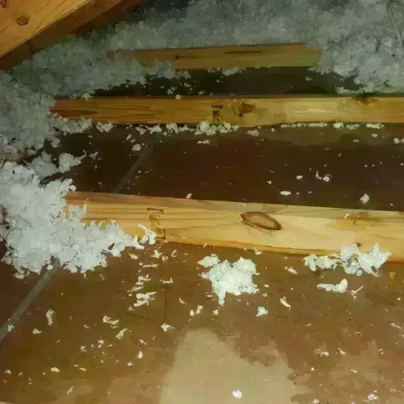 Attic Water Damage in Weber City, VA