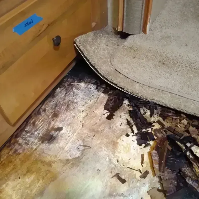 Wood Floor Water Damage in Weber City, VA